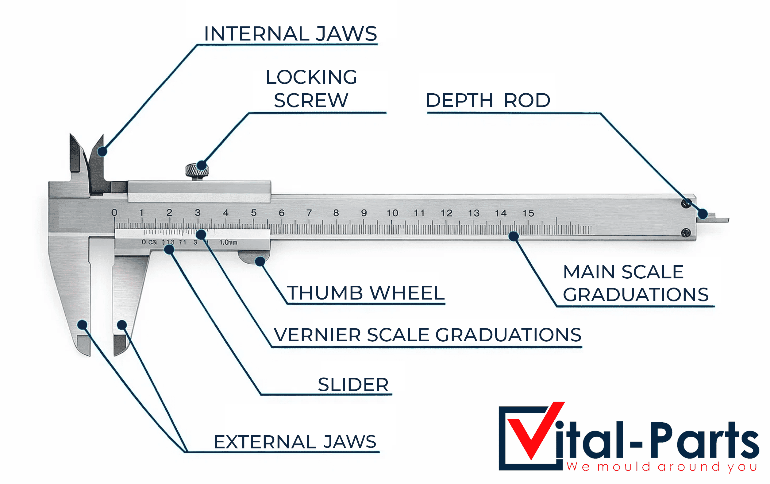 Labelled vernier caliper anatomy diagram