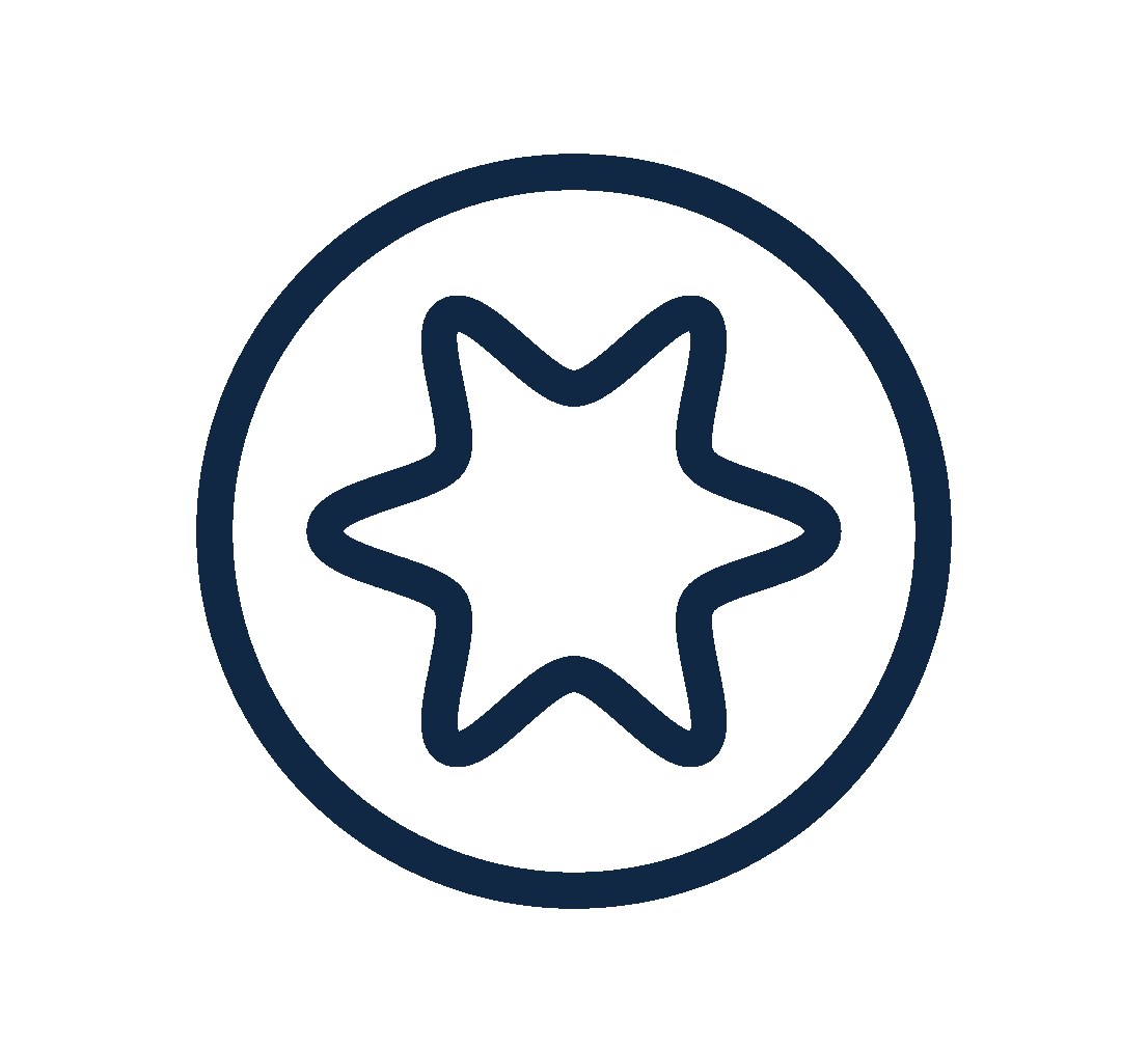 Torx Drive Icon