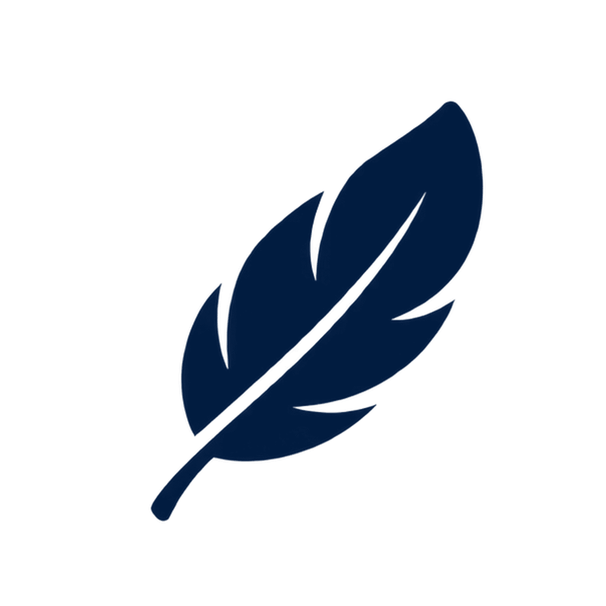 Lightweight icon